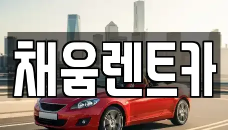 경기도 용인시 기흥구 서천동 렌트카 전문 채움렌트카