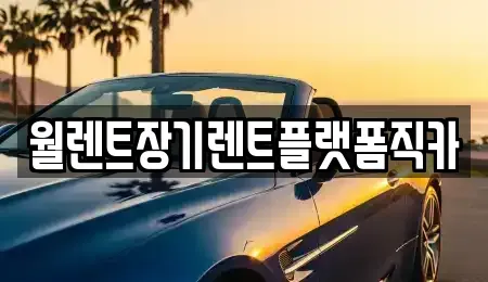경기도 용인시 기흥구 서천동 장기렌트카 전문 월렌트장기렌트플랫폼직카
