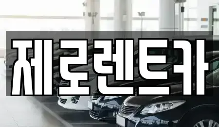 경기도 용인시 기흥구 중동 단기렌트카 전문 제로렌트카