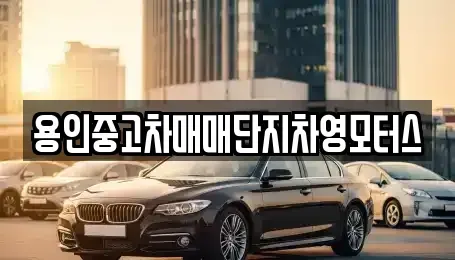 경기도 용인시 기흥구 중동 중고차 전문 용인중고차매매단지차영모터스
