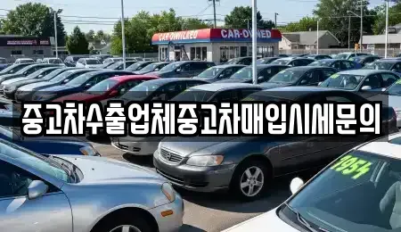 경기도 용인시 기흥구 중동 중고차매입 전문 중고차수출업체중고차매입시세문의