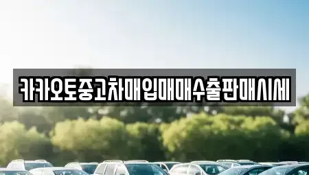 경기도 용인시 기흥구 지곡동 중고차매입 전문 카카오토중고차매입매매수출판매시세