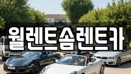 경기도 용인시 처인구 백암면 렌트카 전문 월렌트솜렌트카
