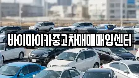 경기도 용인시 처인구 백암면 중고차 전문 바이마이카중고차매매매입센터