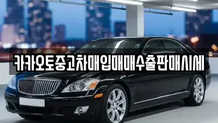 경기도 용인시 처인구 백암면 중고차 전문 카카오토중고차매입매매수출판매시세