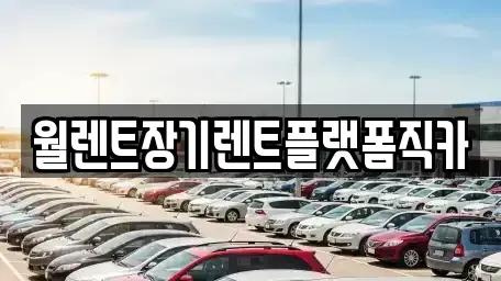경기도 이천시 중리동 장기렌트카 전문 월렌트장기렌트플랫폼직카