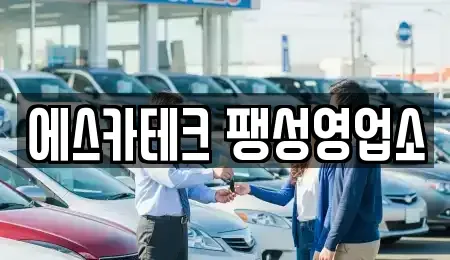 경기도 평택시 소사동 렌트카 전문 에스카테크 팽성영업소