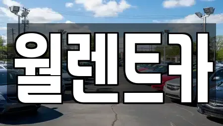 경기도 평택시 소사동 렌트카 전문 월렌트카