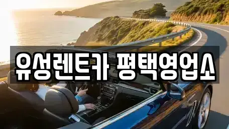 경기도 평택시 소사동 렌트카 전문 유성렌트카 평택영업소