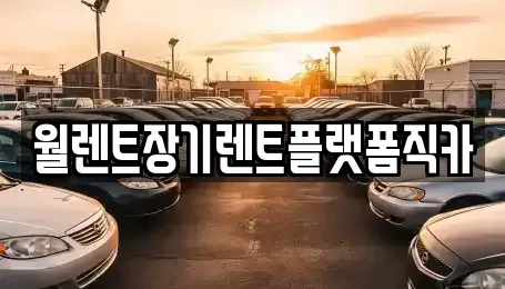 경기도 포천시 장기렌트카 전문 월렌트장기렌트플랫폼직카