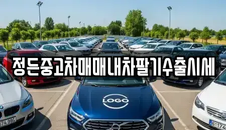 경기도 포천시 화현면 중고차매매 전문 정든중고차매매내차팔기수출시세