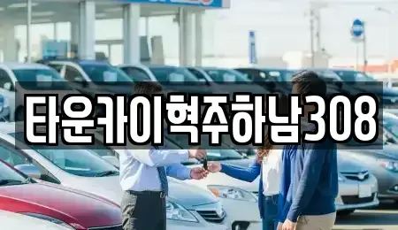 경기도 하남시 풍산동 단기렌트카 전문 타운카이혁주하남308