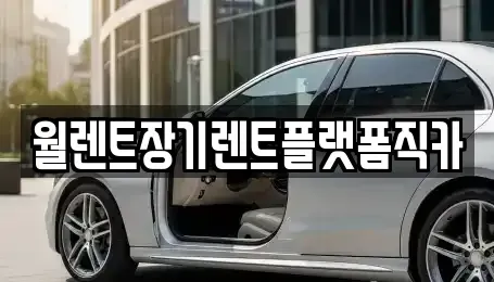 경기도 하남시 풍산동 장기렌트카 전문 월렌트장기렌트플랫폼직카