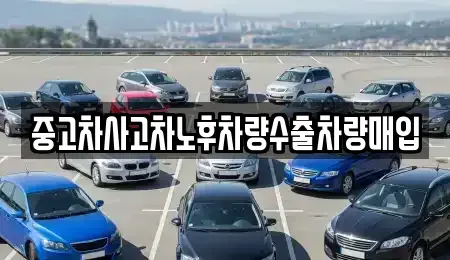 경기도 하남시 풍산동 중고차매매 전문 중고차사고차노후차량수출차량매입