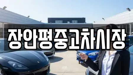 경기도 하남시 하산곡동 중고차 전문 장안평중고차시장