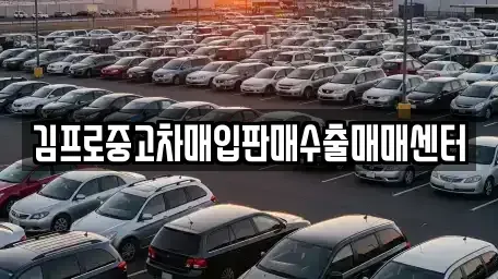경기도 하남시 하산곡동 중고차매입 전문 김프로중고차매입판매수출매매센터