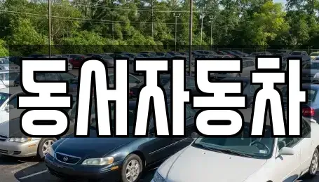 경남 고성군 대가면 중고차매매 전문 동서자동차