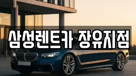 경남 김해시 대청동 렌트카 전문 삼성렌트카 장유지점