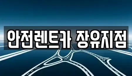 경남 김해시 대청동 렌트카 전문 안전렌트카 장유지점