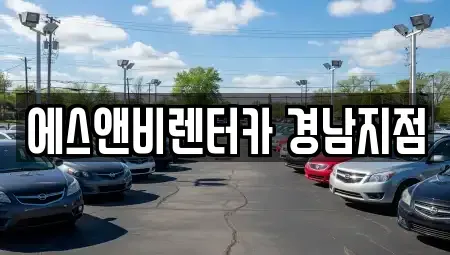 경남 김해시 대청동 렌트카 전문 에스앤비렌터카 경남지점