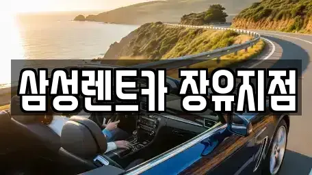 경남 김해시 무계동 단기렌트카 전문 삼성렌트카 장유지점