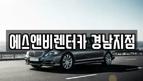 경남 김해시 무계동 단기렌트카 전문 에스앤비렌터카 경남지점