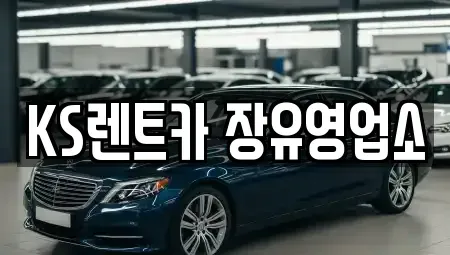 경남 김해시 무계동 렌트카 전문 KS렌트카 장유영업소