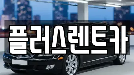 경남 김해시 어방동 렌트카 전문 플러스렌트카