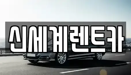 경남 김해시 진영읍 렌트카 전문 신세계렌트카