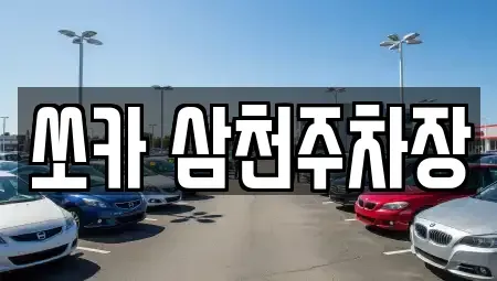 경남 밀양시 남포동 렌트카 전문 쏘카 삼천주차장