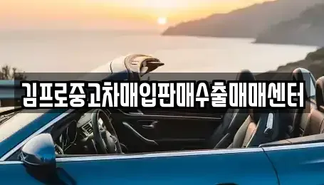 경남 사천시 서동 중고차 전문 김프로중고차매입판매수출매매센터