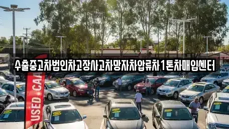 경남 사천시 좌룡동 중고차매입 전문 수출중고차법인차고장사고차망자차압류차1톤차매입센터