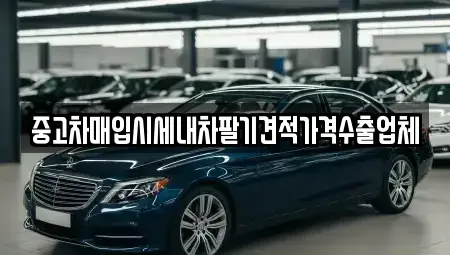 경남 사천시 좌룡동 중고차매입 전문 중고차매입시세내차팔기견적가격수출업체