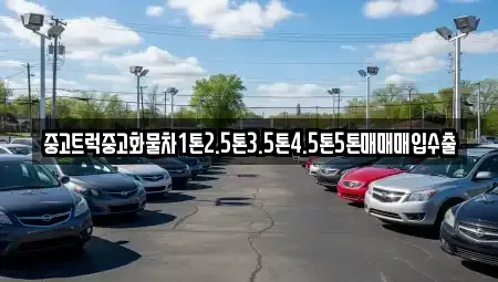 경남 산청군 신등면 장기렌트카,중고차,렌트카,단기렌트카,중고차매입,중고차매매