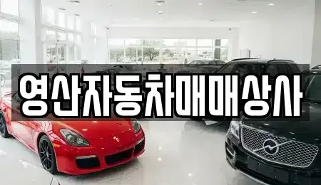 경남 창녕군 도천면 중고차 전문 영산자동차매매상사