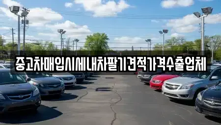 경남 창원시 마산합포구 교방동 중고차매입 전문 중고차매입시세내차팔기견적가격수출업체