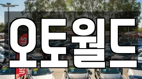 경남 창원시 마산회원구 양덕동 중고차매매 전문 오토월드
