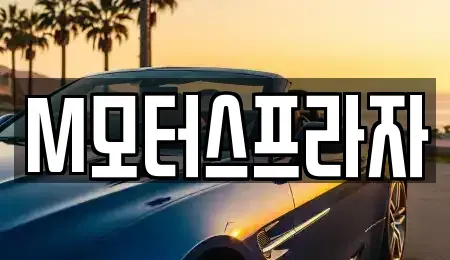 경남 창원시 성산구 양곡동 중고차매매 전문 M모터스프라자