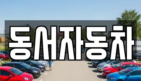 경남 창원시 성산구 양곡동 중고차매매 전문 동서자동차