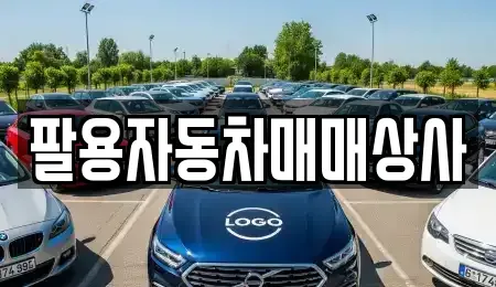경남 창원시 의창구 반계동 중고차 전문 팔용자동차매매상사
