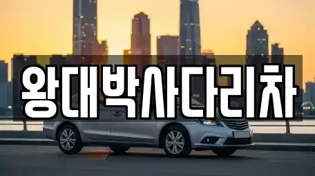 경남 창원시 진해구 북부동 중고차매입 전문 왕대박사다리차
