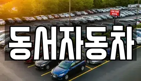 경남 창원시 진해구 수도동 중고차매매 전문 동서자동차
