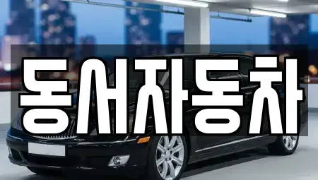 경남 통영시 동호동 중고차 전문 동서자동차