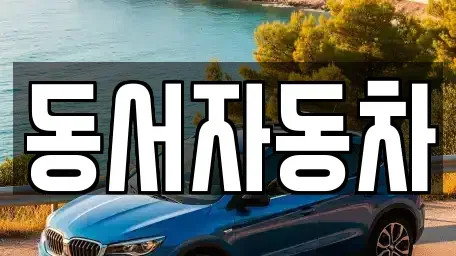 경북 경산시 신천동 중고차매매 전문 동서자동차