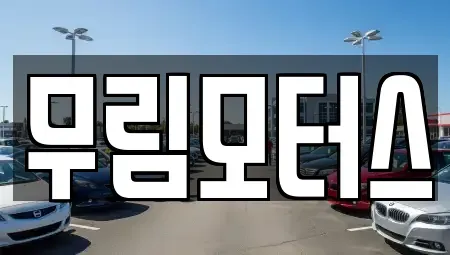 경북 경산시 정평동 중고차매매 전문 무림모터스