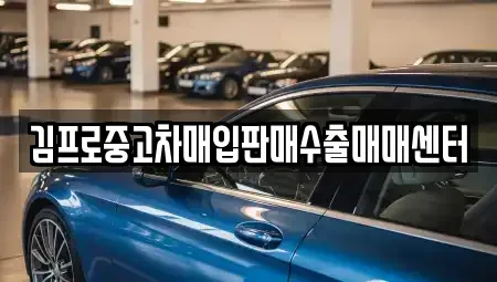 경북 경산시 정평동 중고차매입 전문 김프로중고차매입판매수출매매센터