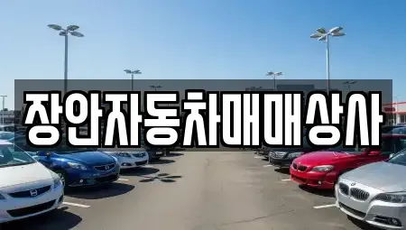 경북 경주시 구황동 중고차 전문 장안자동차매매상사
