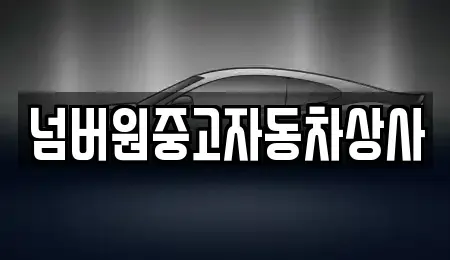 경북 경주시 효현동 중고차매매 전문 넘버원중고자동차상사
