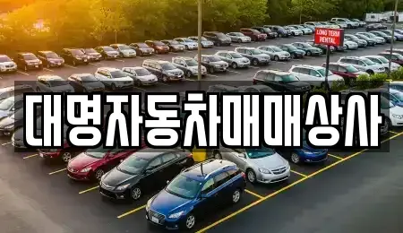 경북 경주시 효현동 중고차매매 전문 대명자동차매매상사