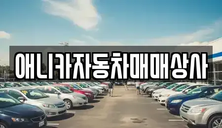 경북 김천시 남면 중고차매매,단기렌트카,중고차매입,장기렌트카,중고차,렌트카